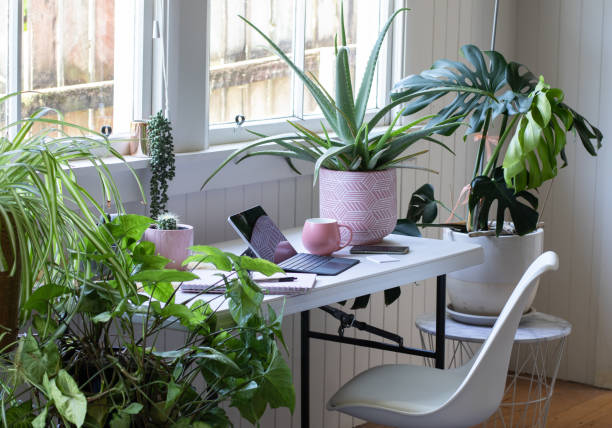 Desk table and chair interior with potted plants