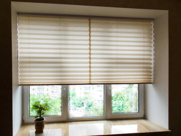 window blinds