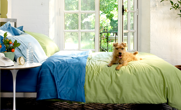 a bed on side of window having natural light