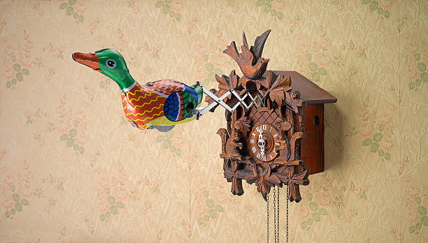 a colorful bird coming out of Cuckoo Clock