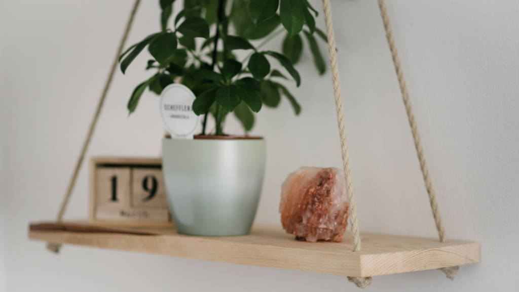 Shelves on Tension rods having small plant