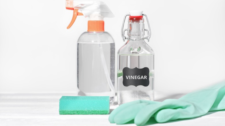 a vinegar bottle along with a sprayer and gloves